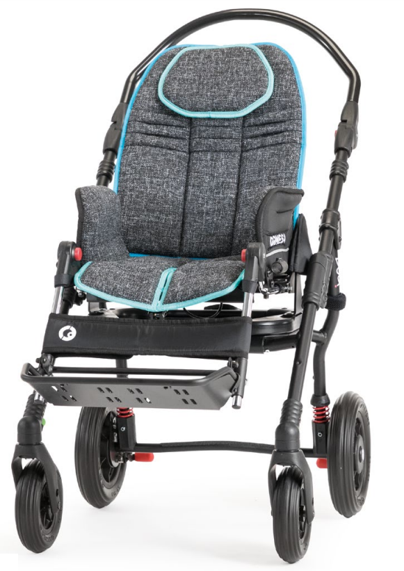 Stroller for Children with Special Needs Bug Ormesa